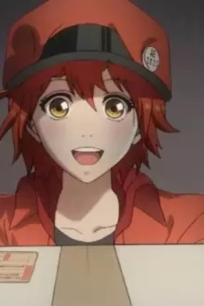 Cells at Work!