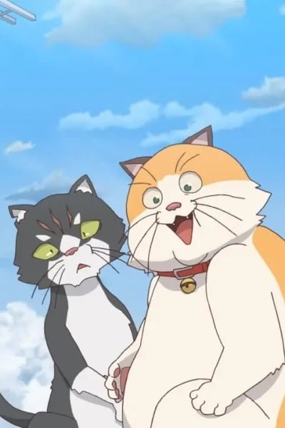 Cats Run