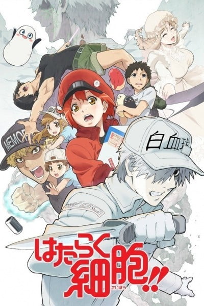 Cells at Work!!